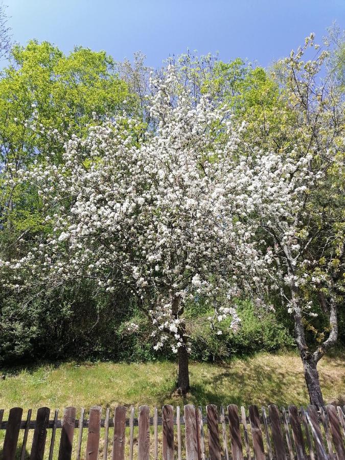 אינסברוק Ferienwohnung Riedbach מראה חיצוני תמונה